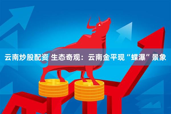 云南炒股配资 生态奇观：云南金平现“蝶瀑”景象